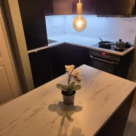 Apartment Bergen Central شقة *